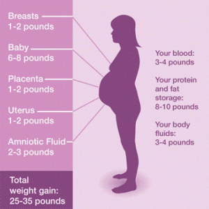 Pregnancy weight diagram